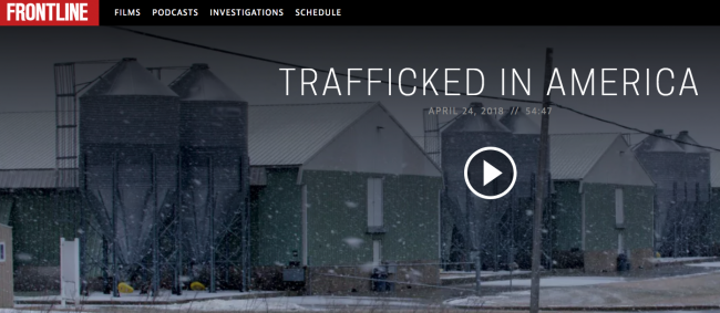 Screen Shot 2019-01-01 at 11.07.46 AM