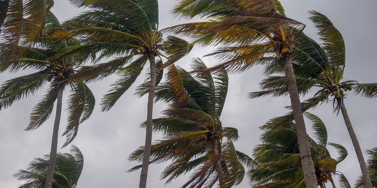 STAC Blog Featured Image Signs of Human Trafficking During a Disaster 1222 STAC Blog Featured Image Signs of Human Trafficking During a Disaster 1222