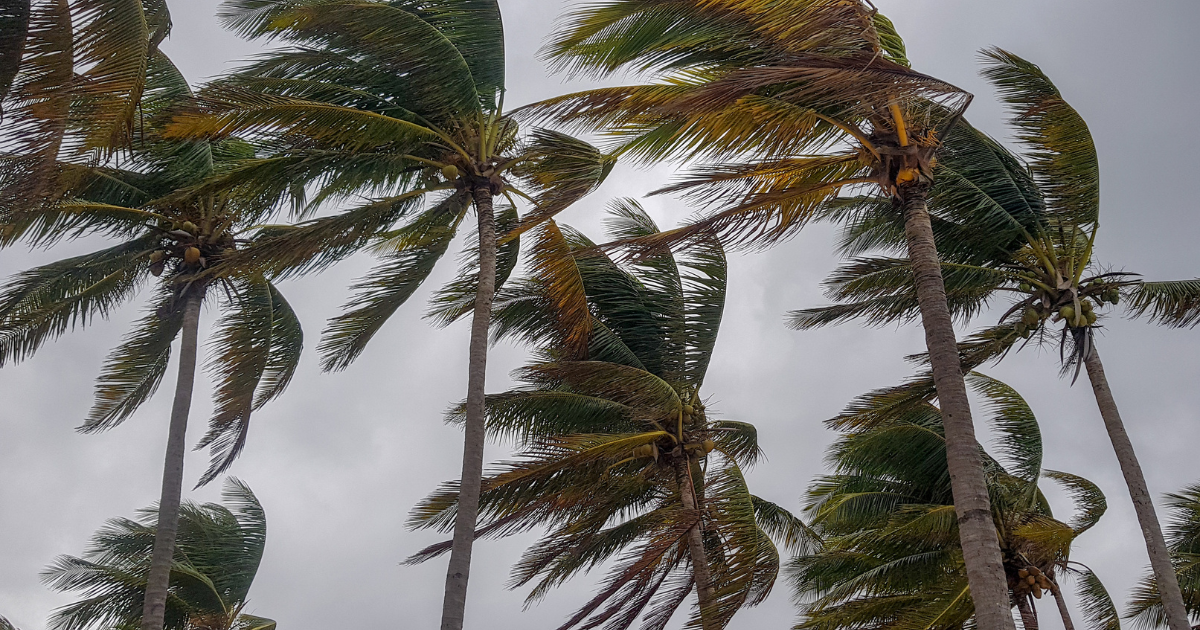 STAC Blog Featured Image Signs of Human Trafficking During a Disaster 1222